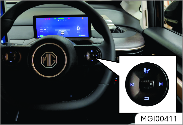 mg-windsor